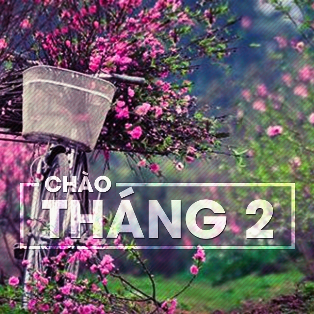 truyền hình cáp sông thu đà nẵng khuyến mãi tháng 2