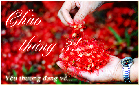 truyền-hình-cáp-sông-thu-tháng-3